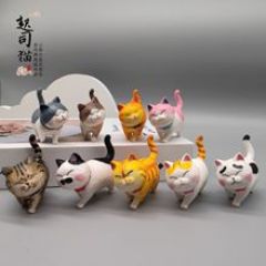 星守卡莎
