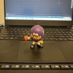 星守卡莎